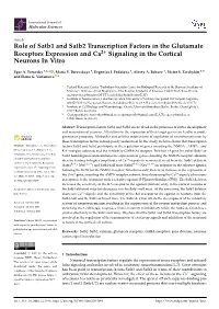 Role of Satb1 and Satb2 Transcription Factors in the Glutamate Receptors Expression and Ca2+ Signaling in the Cortical Neurons in Vitro