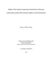 Studies of the Structure of Potassium Channel Kcsa in the Open Conformation and the Effect of Anionic Lipids on Channel Inactivation