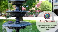 2021 Operating Budget and Capital Improvement Program (CIP)