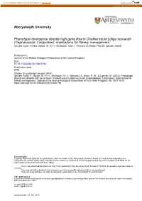 Aberystwyth University Phenotypic Divergence Despite High Gene Flow