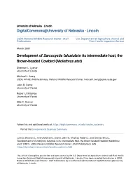 Development of Sarcocystis Falcatula in Its Intermediate Host, the Brown-Headed Cowbird (Molothrus Ater)