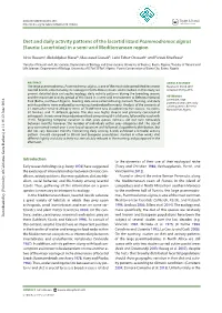 Diet and Daily Activity Patterns of the Lacertid Lizard Psammodromus Algirus (Sauria: Lacertidae) in a Semi-Arid Mediterranean Region