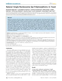 Natural Single-Nucleosome Epi-Polymorphisms in Yeast