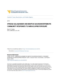 Stream Salamander and Benthic Macroinvertebrate Community Responses to Imidacloprid Exposure