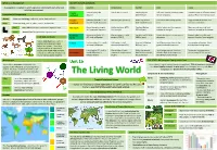 The Living World Components & Interrelationships Management