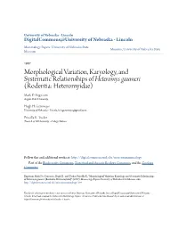 Morphological Variation, Karyology, and Systematic Relationships of Heteromys Gaumeri (Rodentia: Heteromyidae) Mark D