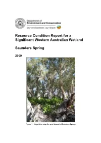 RCM008 Saunders Spring Condition Report