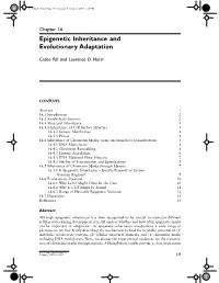 Epigenetic Inheritance and Evolutionary Adaptation