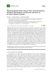 Spermatogonial Stem Cells in Fish: Characterization, Isolation, Enrichment, and Recent Advances of in Vitro Culture Systems