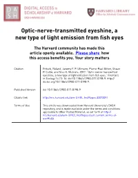 Optic-Nerve-Transmitted Eyeshine, a New Type of Light Emission from Fish Eyes