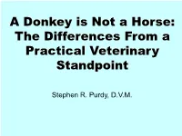 A Donkey Is Not a Horse: the Differences from a Practical Veterinary Standpoint