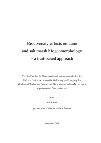 Biodiversity Effects on Dune and Salt Marsh Biogeomorphology – a Trait-Based Approach