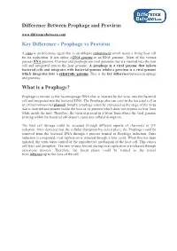 Difference Between Prophage and Provirus Key Difference - Prophage Vs Provirus