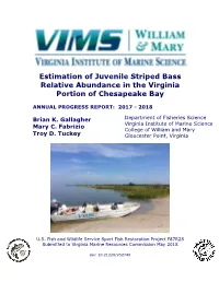 Estimation of Juvenile Striped Bass Relative Abundance in the Virginia Portion of Chesapeake Bay