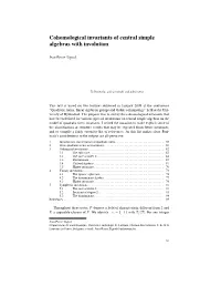 Cohomological Invariants of Central Simple Algebras with Involution