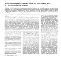 Detection of Aphanomyces Euteiches in Field Soil from Northern Idaho by a Wet-Sieving/Baiting Technique