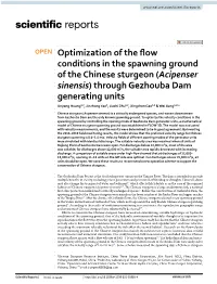 Optimization of the Flow Conditions in the Spawning Ground of The