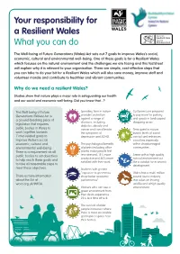 What You Can Do