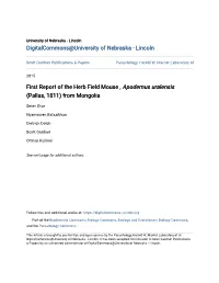 First Report of the Herb Field Mouse , &lt;I&gt;Apodemus Uralensis&lt;/I&gt; (Pallas