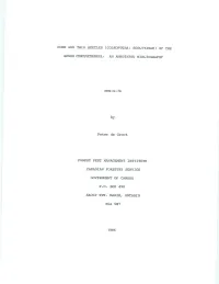 Cone and Twig Beetles (Coleoptera: Scolytidae) of the Genus Conophthorus; an Annotated Bibliography