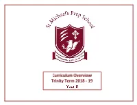 Curriculum Overview