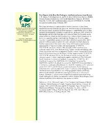 First Report of the Root-Rot Pathogen, Armillaria Nabsnona, from Hawaii