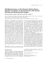 Gill Morphometrics of the Thresher Sharks (Genus Alopias): Correlation of Gill Dimensions with Aerobic Demand and Environmental Oxygen
