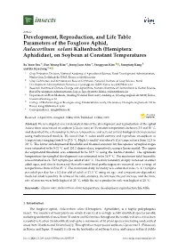 (Hemiptera: Aphididae), on Soybean at Constant Temperatures