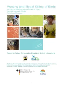 Hunting and Illegal Killing of Birds Along The