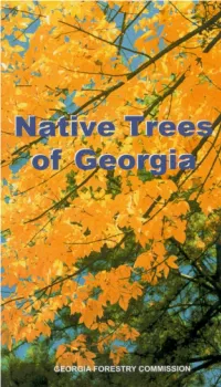 Native Trees of Georgia
