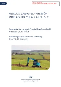 Project Design for Archaeological Watching