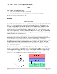 Lab 09: Operating System Basics