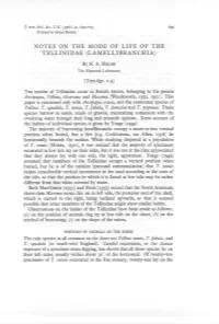 Notes on the Mode of Life of the Tellinidae (Lamellibranchia)