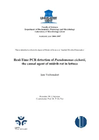 Real-Time PCR Detection of Pseudomonas Cichorii, the Causal Agent of Midrib Rot in Lettuce