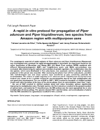 A Rapid in Vitro Protocol for Propagation of Piper Aduncum and Piper Hispidinervum, Two Species from Amazon Region with Multipurpose Uses