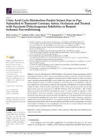 Citric Acid Cycle Metabolites Predict Infarct Size in Pigs Submitted To