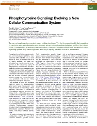 Phosphotyrosine Signaling: Evolving a New Cellular Communication System