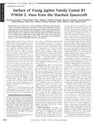 View from the Stardust Spacecraft