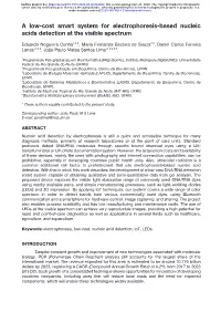 A Low-Cost Smart System for Electrophoresis-Based Nucleic Acids Detection at the Visible Spectrum
