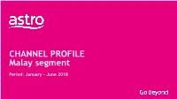 CHANNEL PROFILE Malay Segment