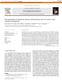 Characterisation of Expression Patterns and Functional Role of Cactin in Early Zebraﬁsh Development
