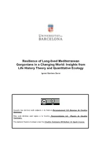 Resilience of Long-Lived Mediterranean Gorgonians in a Changing World: Insights from Life History Theory and Quantitative Ecology