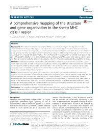 A Comprehensive Mapping of the Structure and Gene Organisation in the Sheep MHC Class I Region N