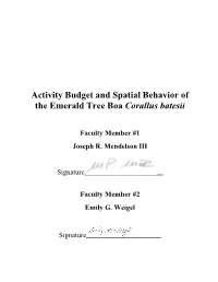 Activity Budget and Spatial Behavior of the Emerald Tree Boa Corallus Batesii
