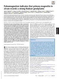 Paleomagnetism Indicates That Primary Magnetite in Zircon Records