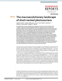 The Macroevolutionary Landscape of Short-Necked Plesiosaurians Collapsed to a Unimodal Distribution