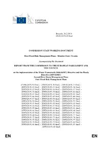 69 Final COMMISSION STAFF WORKING DOCUMENT