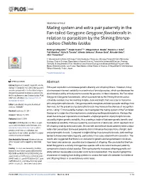 Gerygone Flavolateralis in Relation to Parasitism by the Shining Bronze- Cuckoo Chalcites Lucidus
