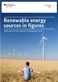 Renewable Energy Sources in Figures National and International Development, 2018 Imprint