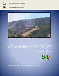 STRAWBERRY FIRE FATALITY Learning Review Report